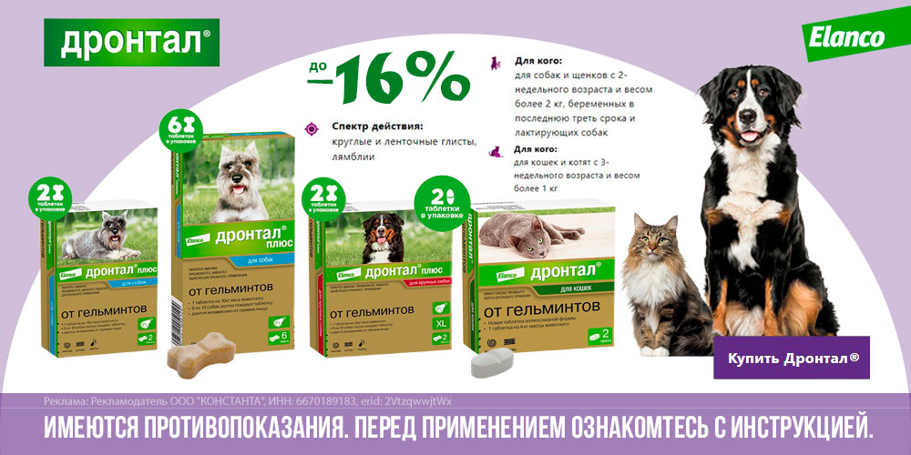Акция на ДРОНТАЛ таблетки от гельминтов для кошек и собак ELANCO! Скидка до 16%!