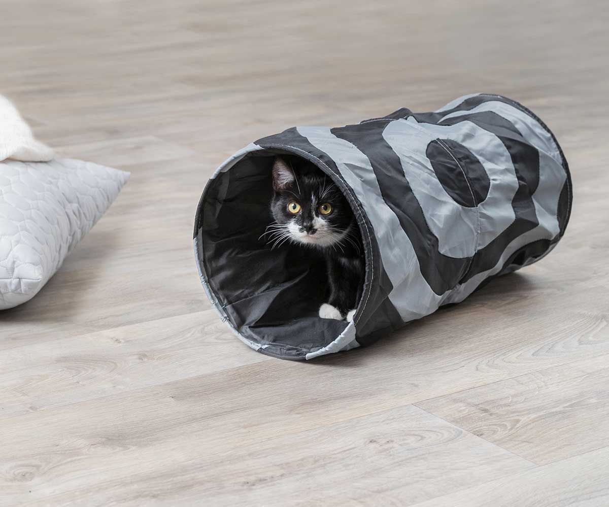 Тоннель Для Кошек Trixie (Трикси) Шуршащий 25*50см 4301