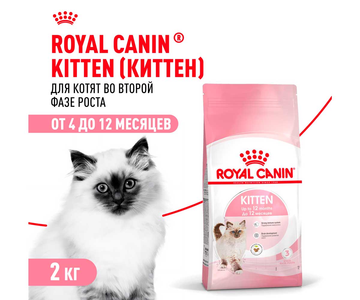 Сухой Корм Royal Canin (Роял Канин) Для Котят от 4 до 12 Месяцев Feline Health Nutrition Kitten 36 2кг