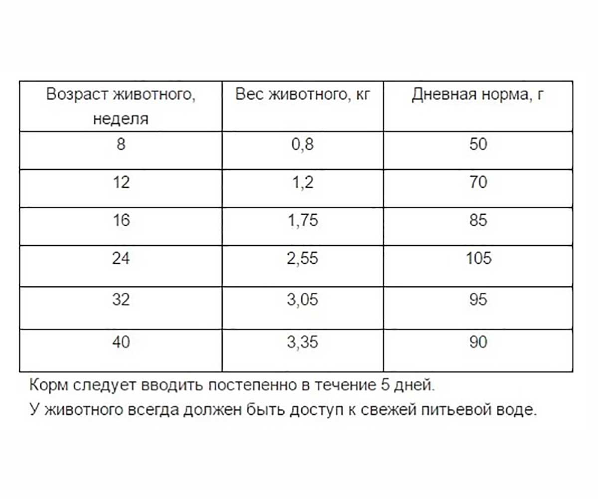 Сухой Корм Наша Марка (НМ) Для Котят Цыпленок и Рис 400г