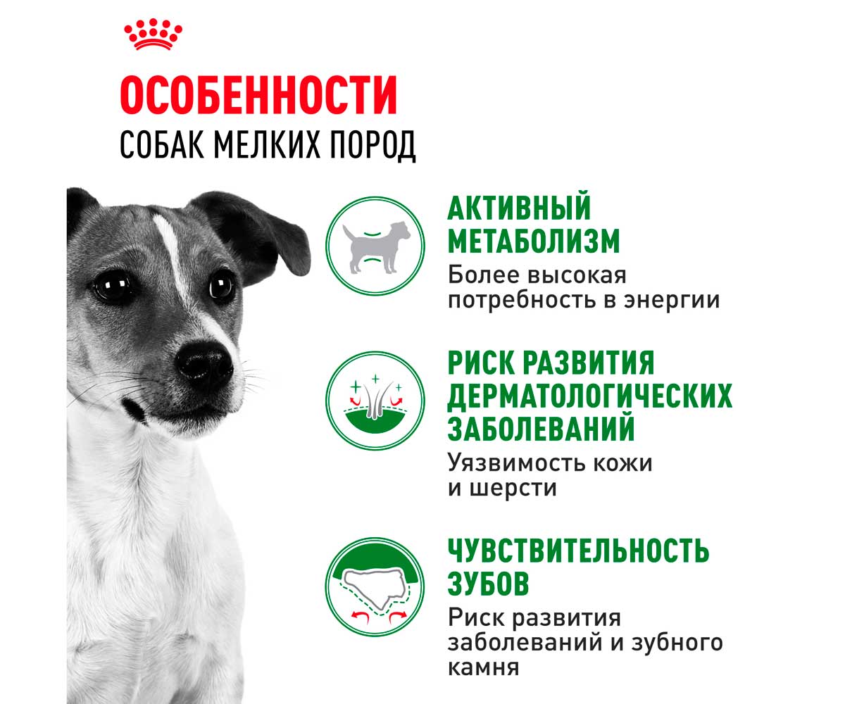 Сухой Корм Royal Canin (Роял Канин) Для Собак Мелких Пород Size Health Nutrition MINI Adult 2кг