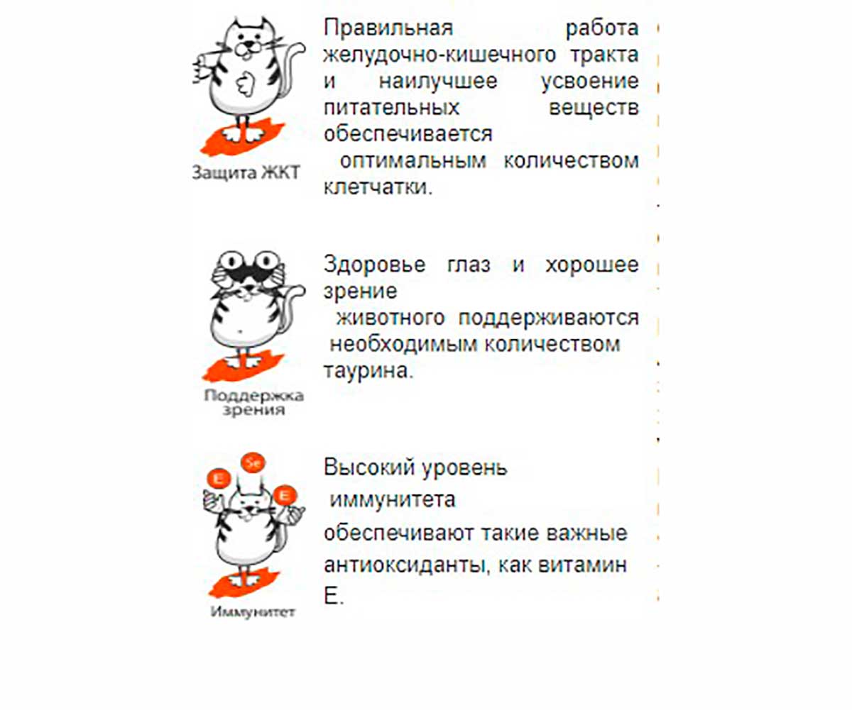 Сухой Корм Наша Марка (НМ) Для Кошек Цыпленок и Рис 400г