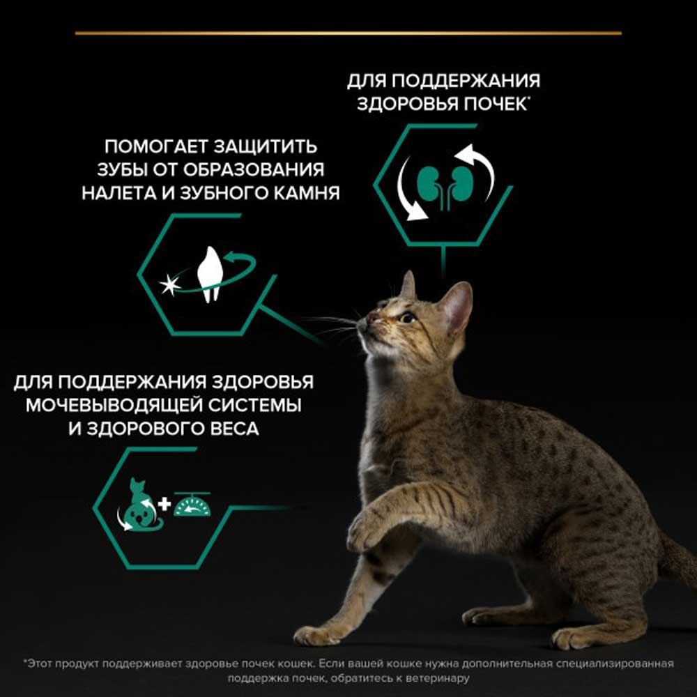 Сухой Корм Pro Plan (ПроПлан) Для Кастрированных Котов и Стерилизованных Кошек Для Поддержания Здоровья Почек Лосось Renal Plus Sterilised Salmon 3кг (1*4)
