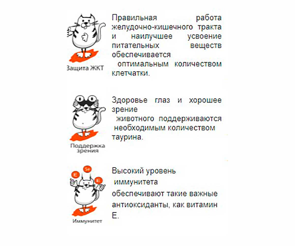 Сухой Корм Наша Марка (НМ) Для Кошек Цыпленок и Рисом 2кг