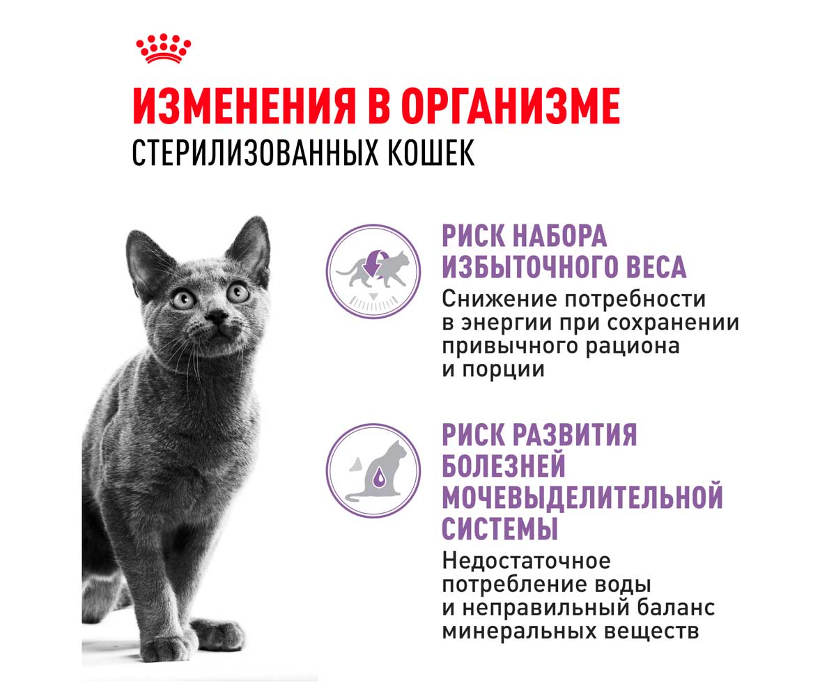 Влажный Корм Royal Canin (Роял Канин) Для Кастрированных Котов и Стерилизованных Кошек Аппетитные Кусочки в Соусе Feline Health Nutrition Sterilised Gravy 85г (1*12)