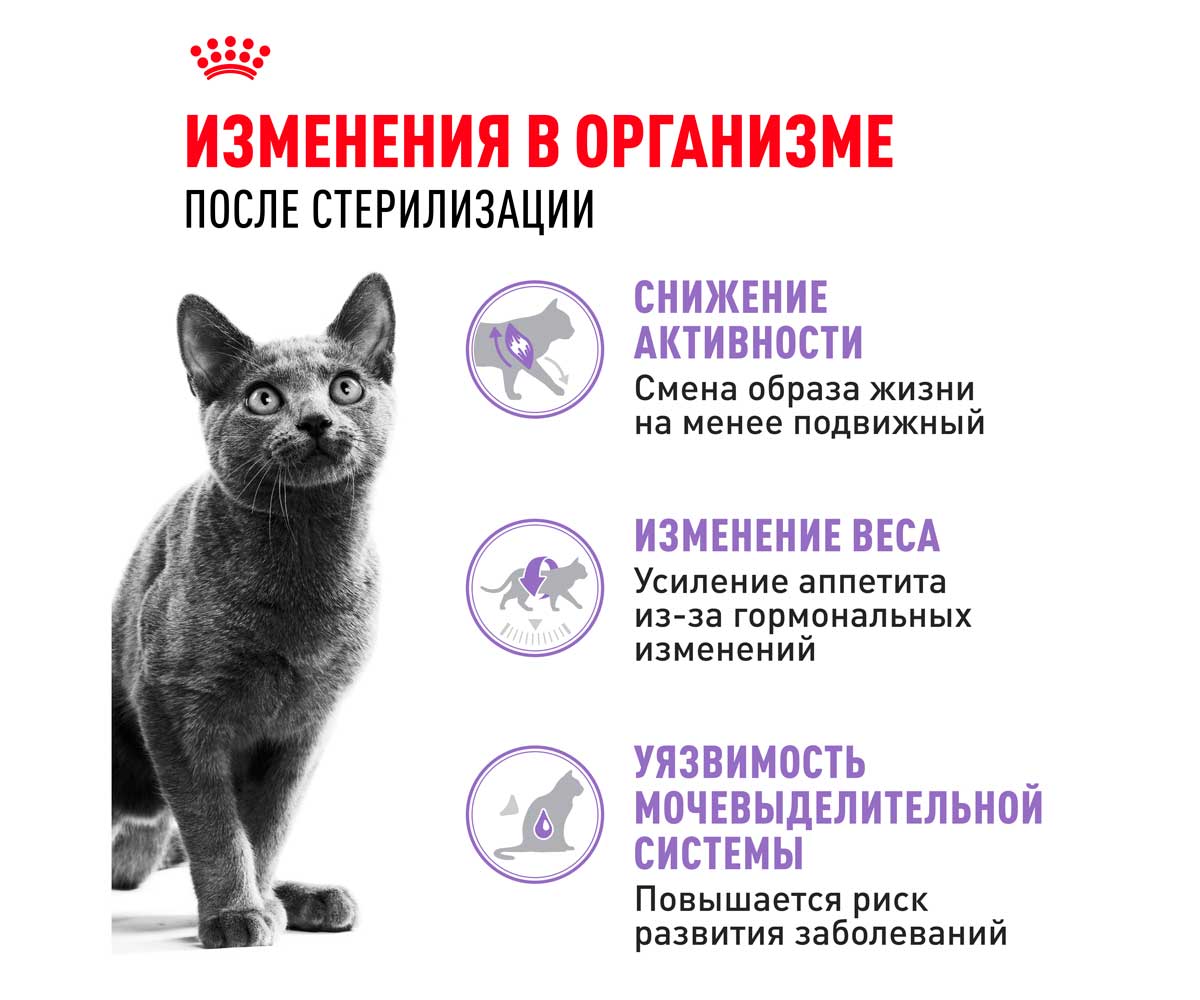 Сухой Корм Royal Canin (Роял Канин) Для Стерилизованных Кошек Feline Health Nutrition Sterilised 37 4кг
