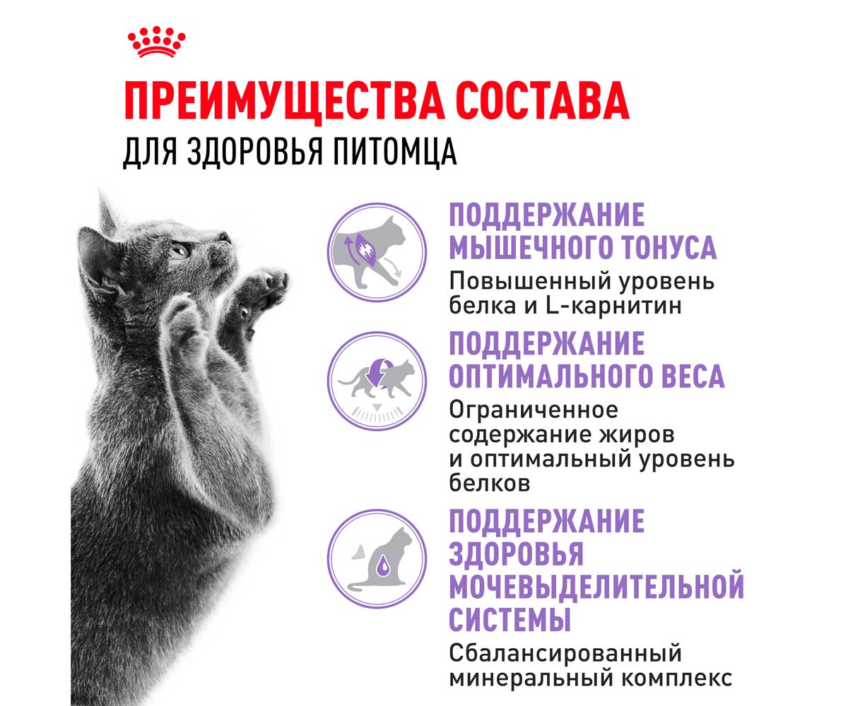 Сухой Корм Royal Canin (Роял Канин) Для Стерилизованных Кошек Feline Health Nutrition Sterilised 37 4кг