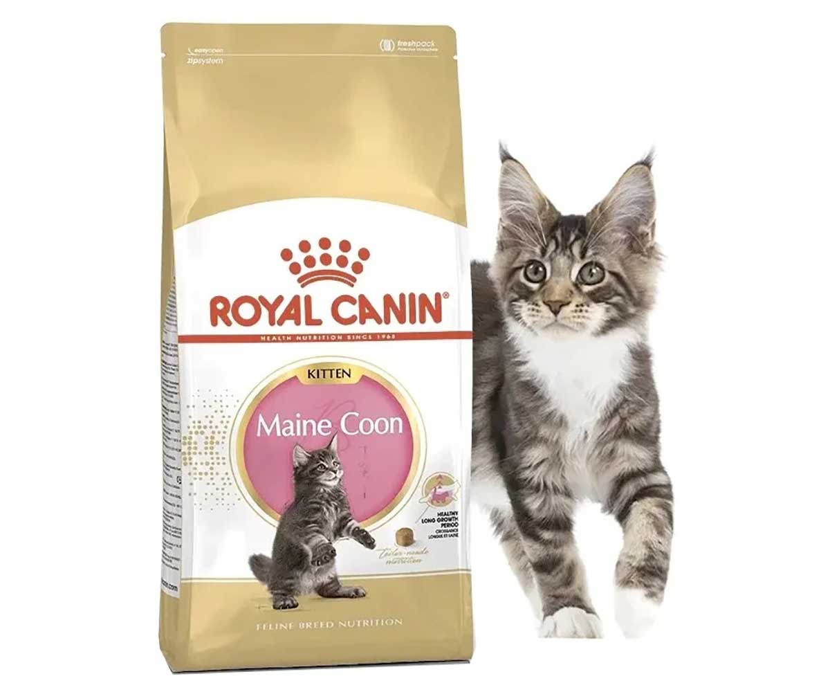 Сухой Корм Royal Canin (Роял Канин) Для Котят Породы Мейн-Кун Feline Breed Nutrition Kitten Maine Coon 36 400г
