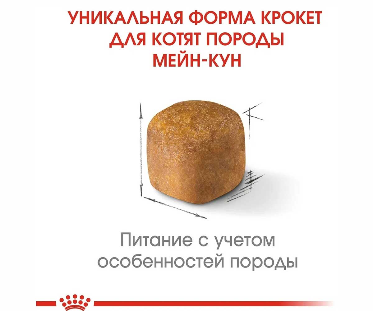 Сухой Корм Royal Canin (Роял Канин) Для Котят Породы Мейн-Кун Feline Breed Nutrition Kitten Maine Coon 36 400г