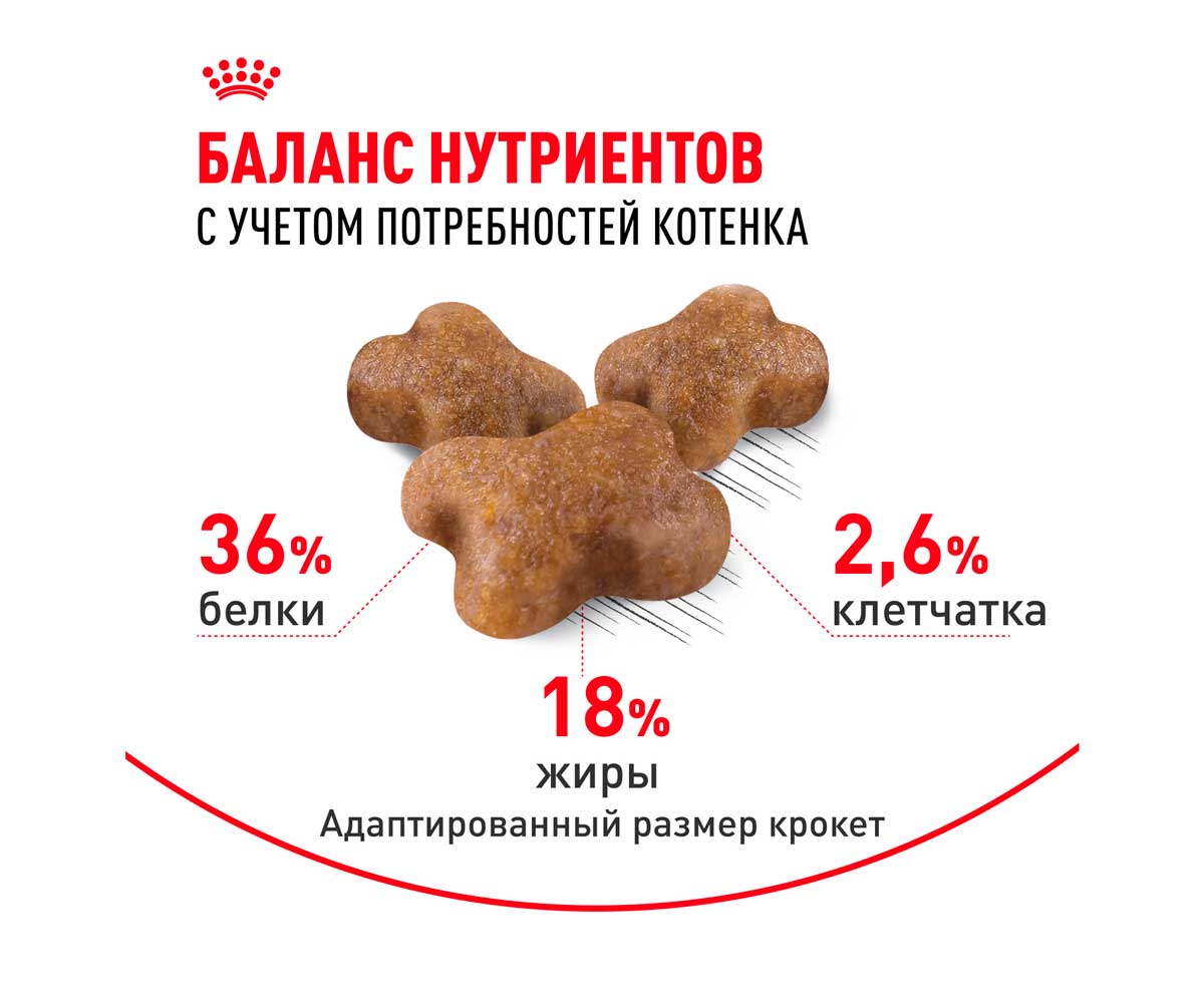 Сухой Корм Royal Canin (Роял Канин) Для Котят от 4 до 12 Месяцев Feline Health Nutrition Kitten 36 4кг