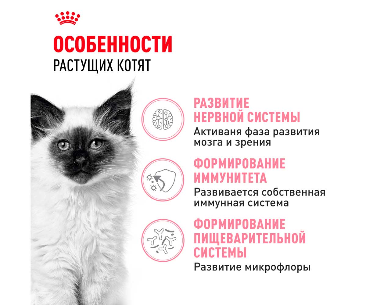 Сухой Корм Royal Canin (Роял Канин) Для Котят от 4 до 12 Месяцев Feline Health Nutrition Kitten 36 4кг
