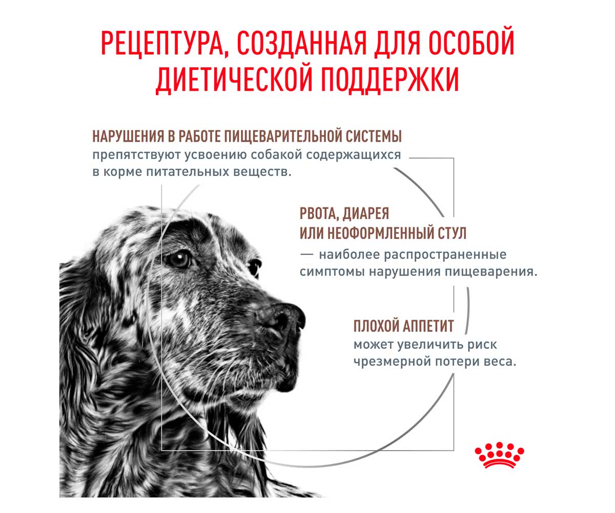 Лечебный Сухой Корм Royal Canin (Роял Канин) Для Собак При Нарушениях Пищеварения Veterinary Diet Canine Gastro Intestinal GI25 2кг