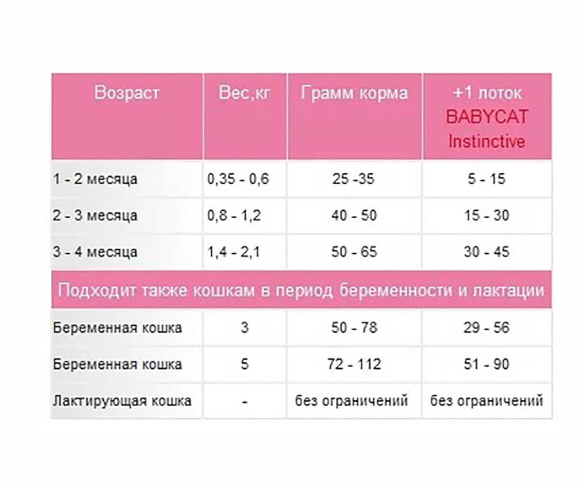 Сухой Корм Royal Canin (Роял Канин) Для Котят и Беременных Кошек Feline Health Nutrition Mother & Babycat 4кг