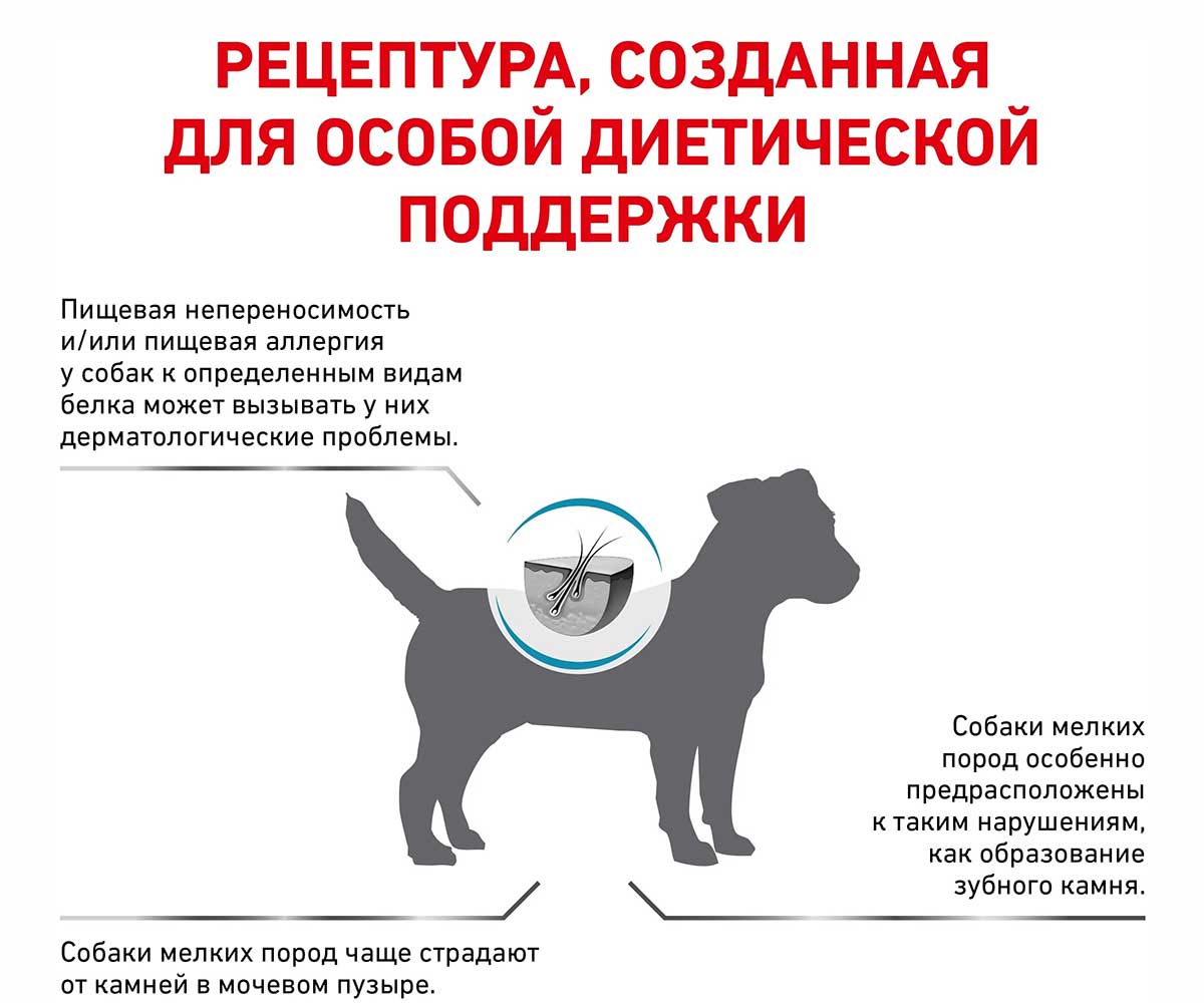 Лечебный Сухой Корм Royal Canin (Роял Канин) Veterinary Diet Canine Hypoallergenic HSD24 Small Dog Для Собак Мелких Пород При Пищевой Непереносимостью 1кг