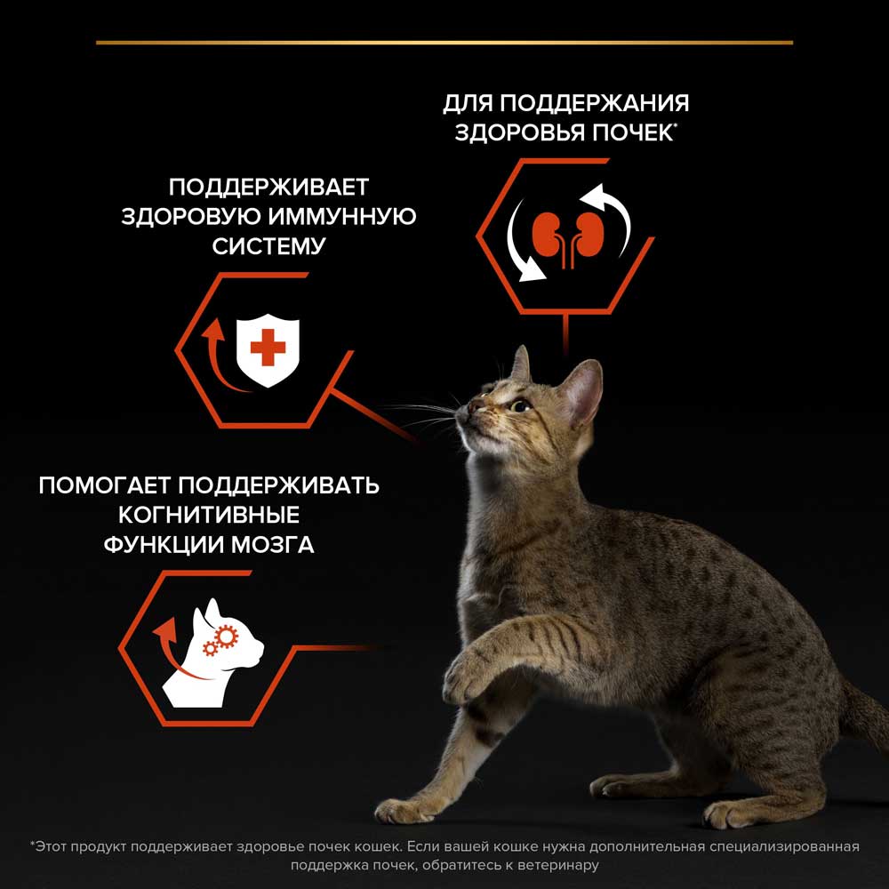Сухой Корм Pro Plan (ПроПлан) Для Кошек Для Поддержания Функций Почек, Мозга и Иммунитета Лосось Adult Vital Functions Salmon 10кг