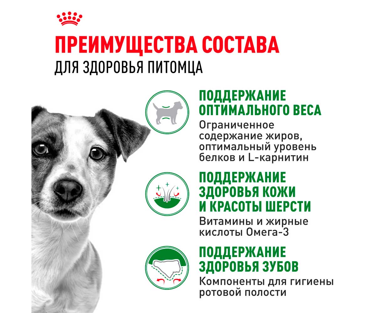 Сухой Корм Royal Canin (Роял Канин) Для Собак Мелких Пород Size Health Nutrition MINI Adult 4кг