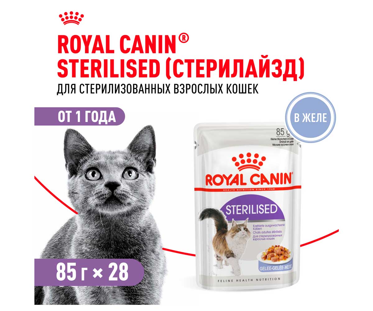 Влажный Корм Royal Canin (Роял Канин) Для Стерилизованных Кошек и Кастрированных Котов Аппетитные Кусочки в Желе Feline Health Nutrition Sterilised Jelly 85г (1*12)