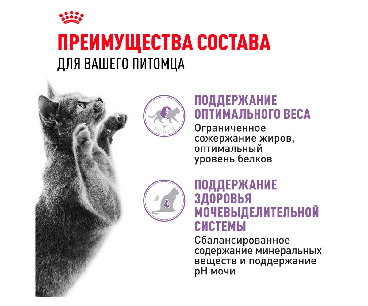 Влажный Корм Royal Canin (Роял Канин) Для Стерилизованных Кошек и Кастрированных Котов Аппетитные Кусочки в Желе Feline Health Nutrition Sterilised Jelly 85г (1*12)