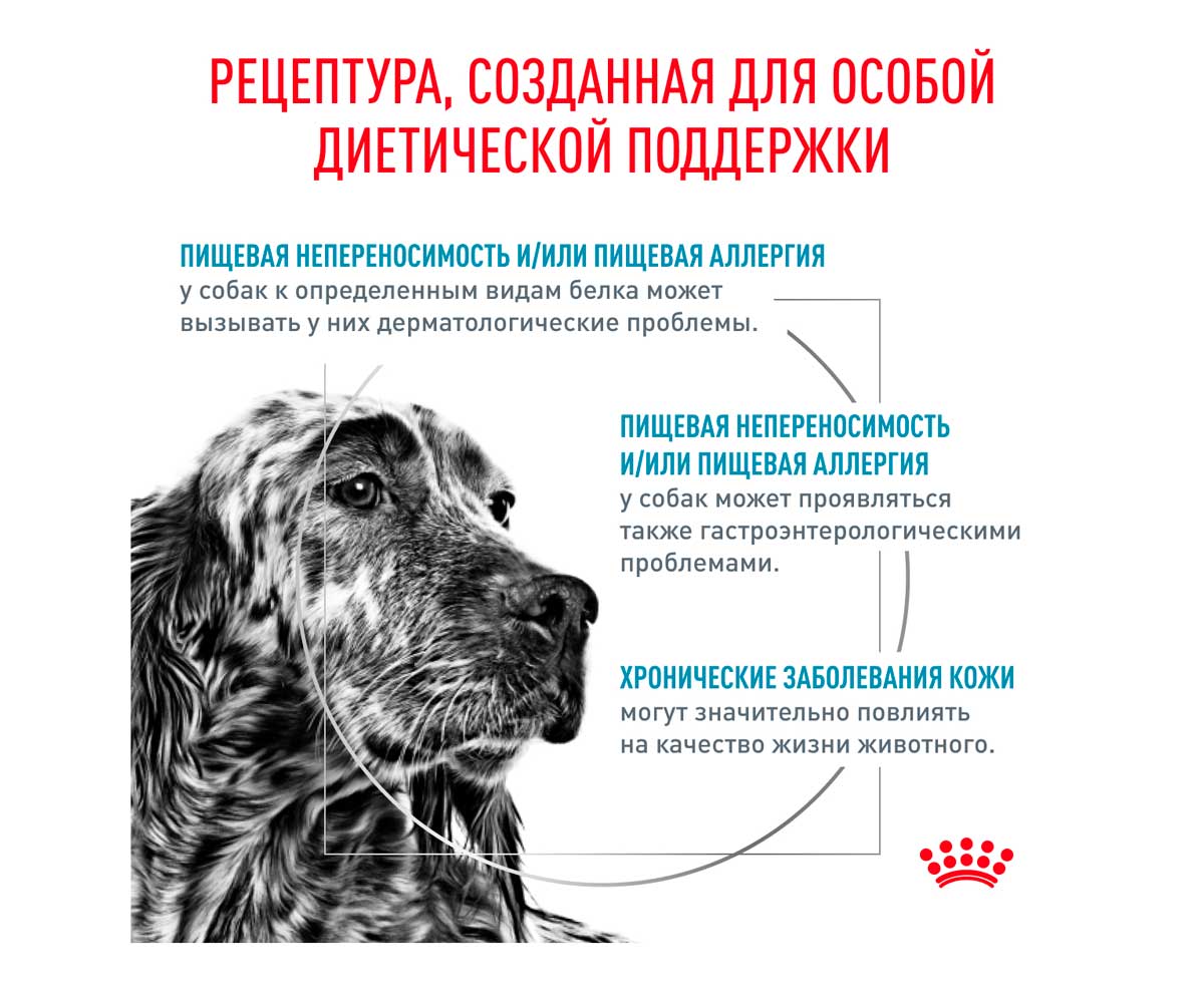 Лечебный Сухой Корм Royal Canin (Роял Канин) Для Собак с Пищевой Непереносимостью Veterinary Diet Canine Hypoallergenic DR21 14кг