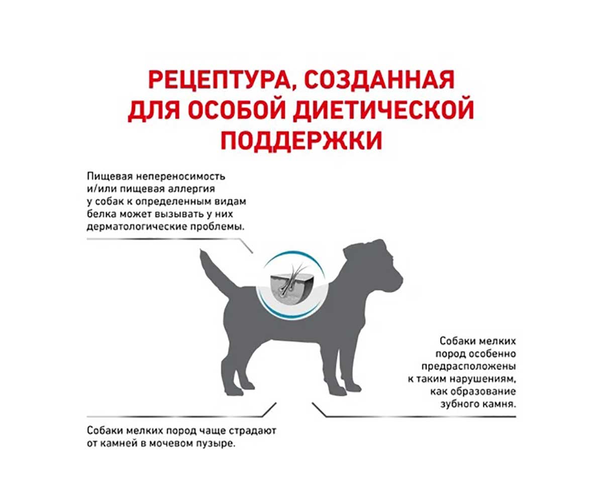 Лечебный Сухой Корм Royal Canin (Роял Канин) Для Собак Мелких Пород При Пищевой Непереносимостью  Veterinary Diet Canine Hypoallergenic HSD24 Small Dog 3,5кг