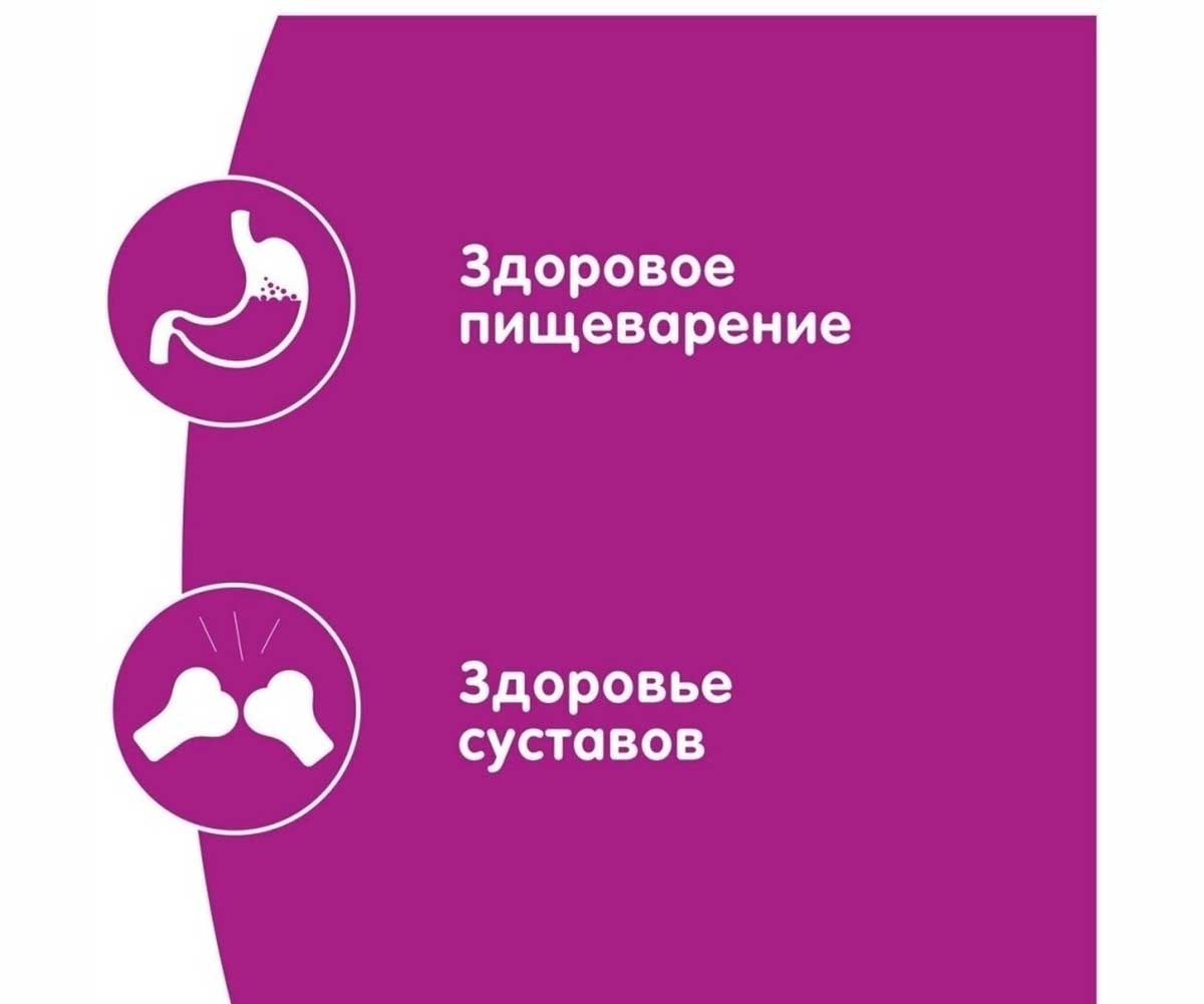 Сухой Корм Whiskas (Вискас) Для Кошек Подушечки с Паштетом Ассорти с Курицей и Индейкой 5кг