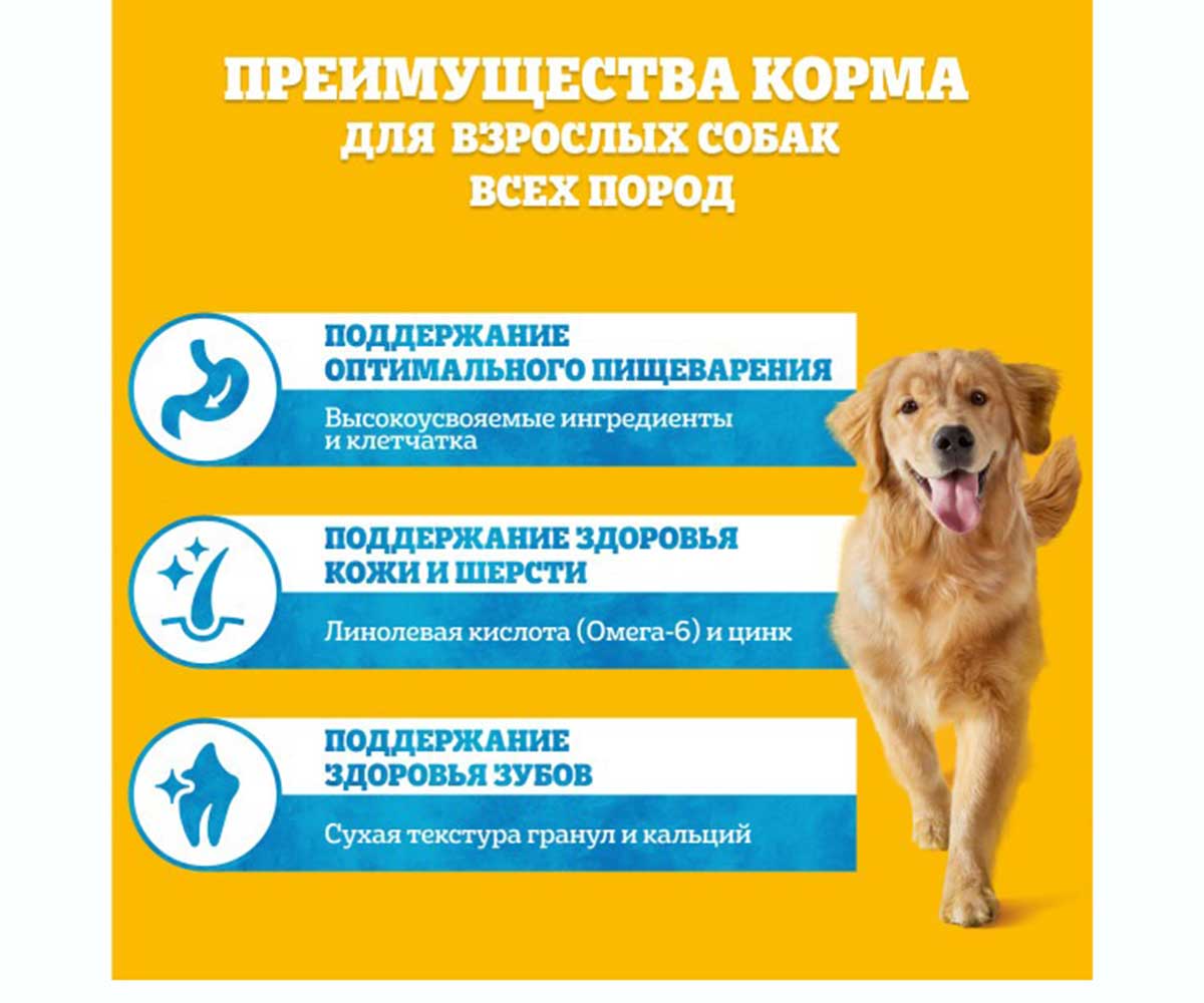 Сухой Корм Pedigree (Педигри) Для Щенков Всех Пород Курица Vital Protection 13кг (1*1)