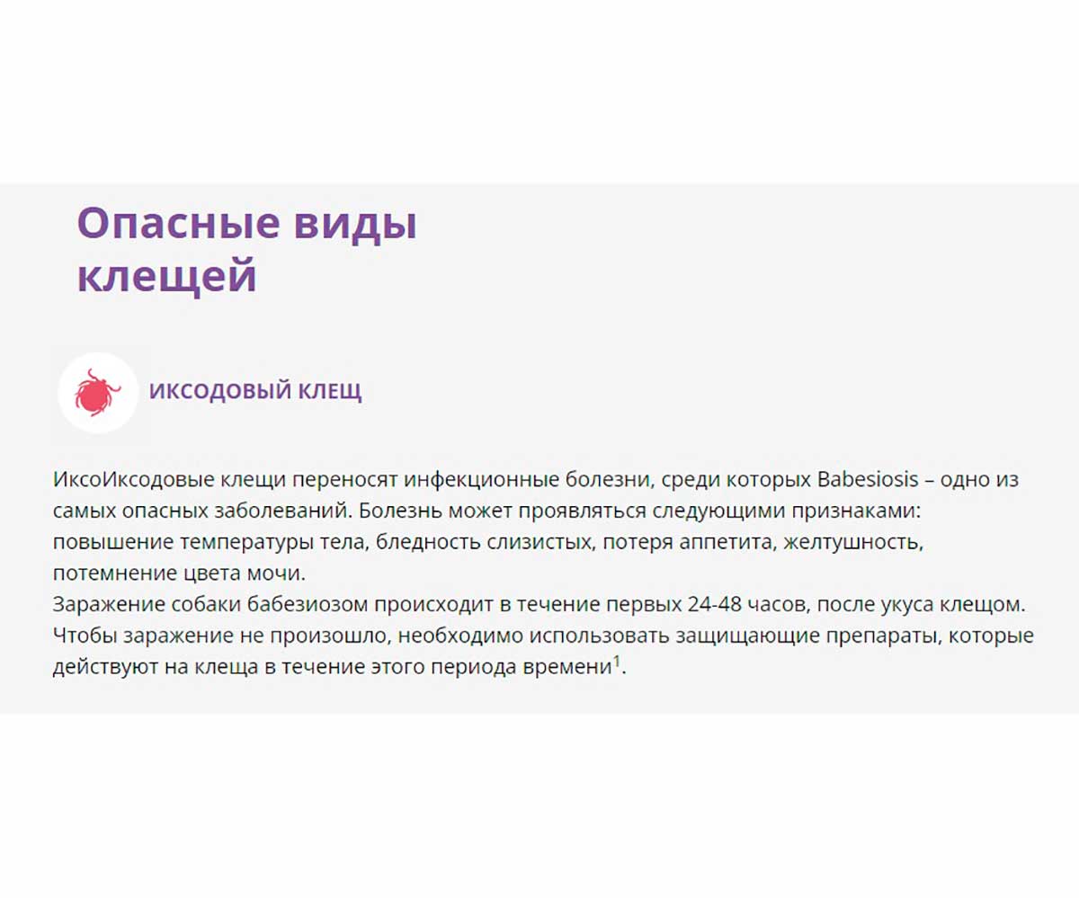 Bravecto (Бравекто) Таблетки Для Собак Крупных Пород От Блох и Клещей 20-40кг 1000мг 1таб