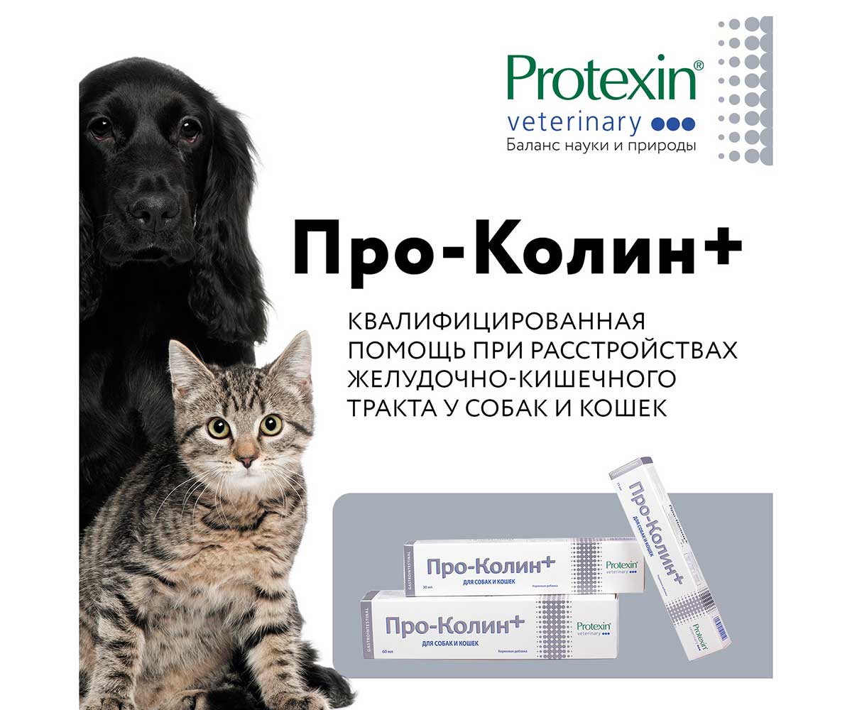 Protexin (Протексин) Про-Колин Кормовая Добавка Для Коррекции Расстройств Пищеварительной Системы Для Собак и Кошек 15мл