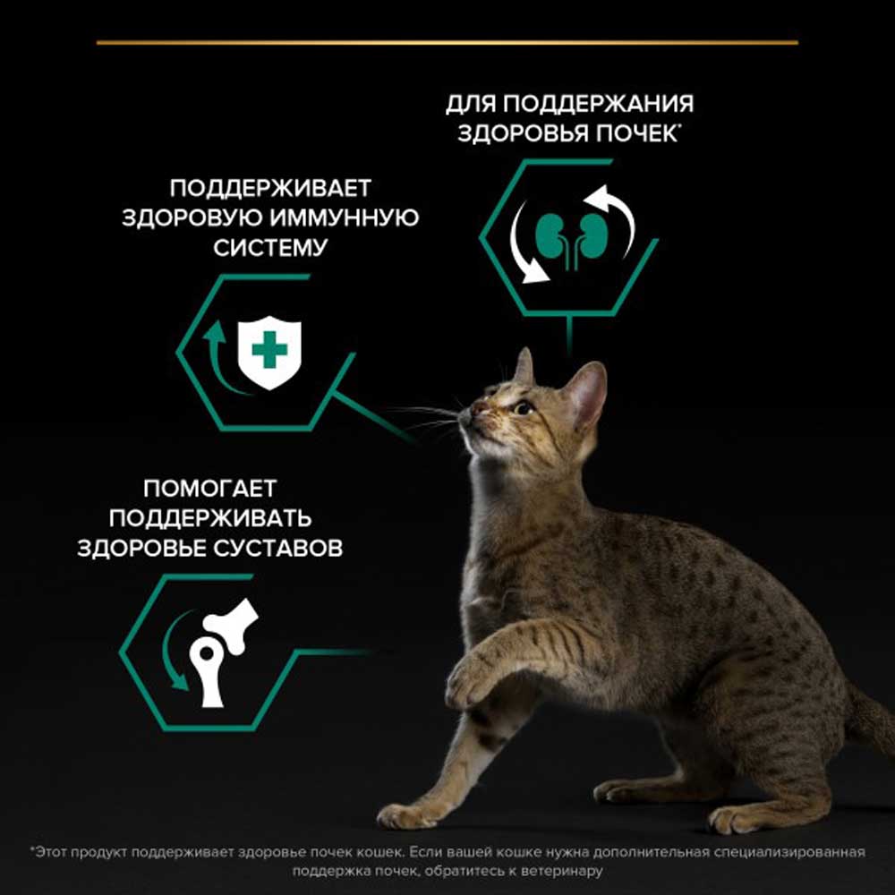 Сухой Корм Pro plan (Проплан) Adult Renal Plus Chicken Для Кошек Для Поддержания Здоровья Почек Курица 10кг
