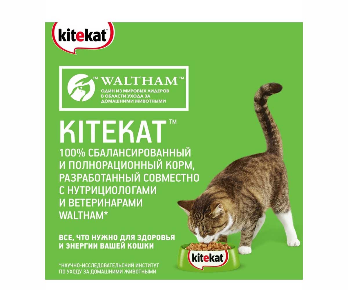 Сухой Корм Kitekat (Китекат) Для Кошек Мясной Пир 15кг (1*1)