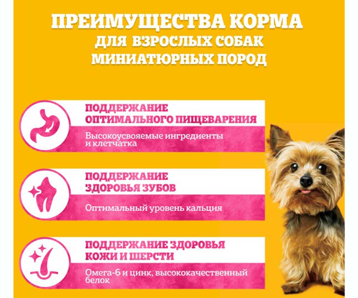 Сухой Корм Pedigree (Педигри) Для Собак Миниатюрных Пород Говядина Mini 1,2кг (1*6)