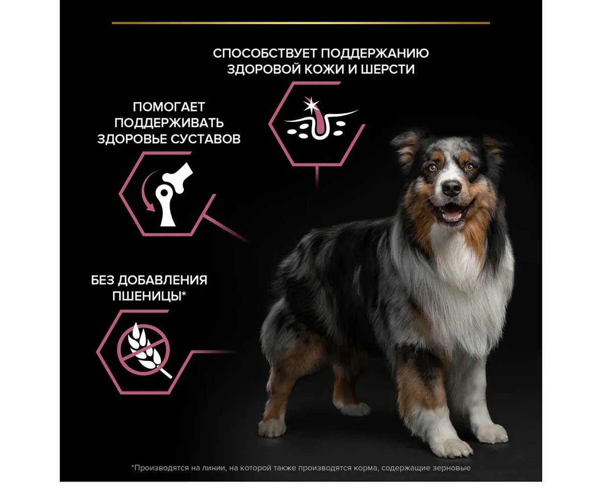 Сухой Корм Pro Plan (Проплан) Для Собак Средних Пород с Чувствительной Кожей Лосось и Рис OPTI Derma Sensitive Skin Medium Adult 3кг (1*4)