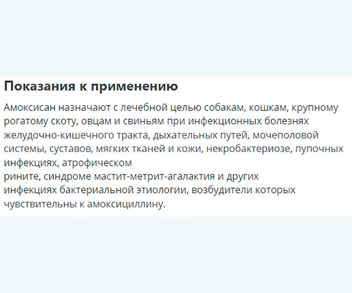 Амоксисан Для Кошек 10мл Apicenna (Апиценна)