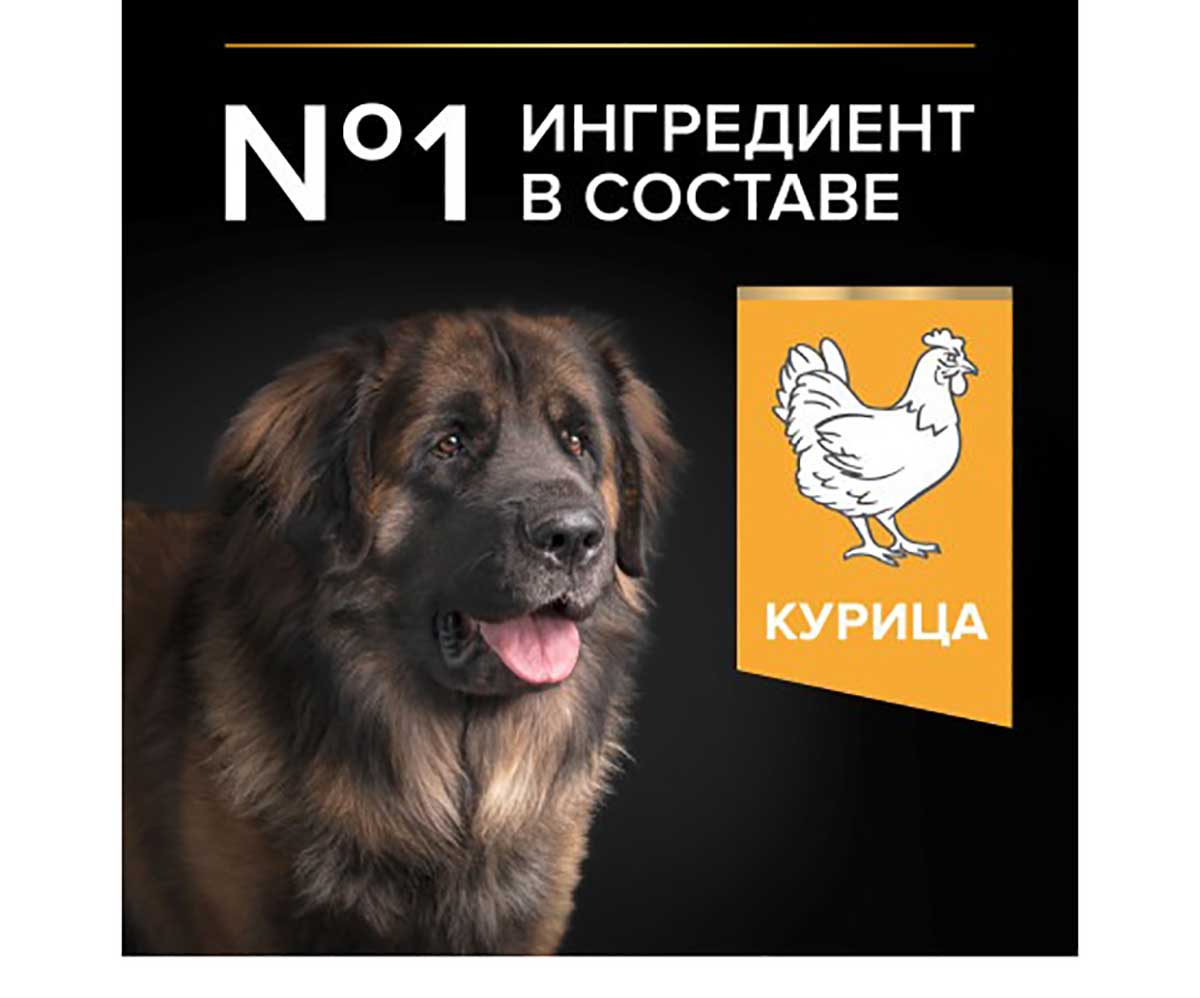 Сухой Корм Pro Plan (Проплан) Для Собак Крупных Пород с Мощным Телосложением Курица с Рисом OPTI Balance Large Robust Adult 14кг (1*1)