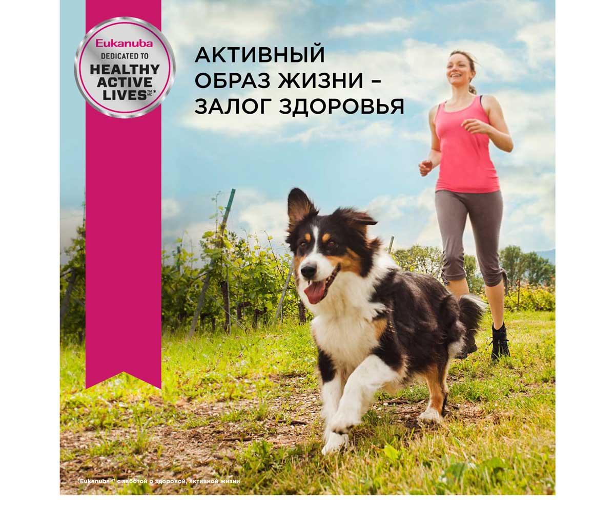 Влажный Корм Eukanuba (Эукануба) Для Собак Всех Пород Ягненок в Соусе Adult Lamb 100г