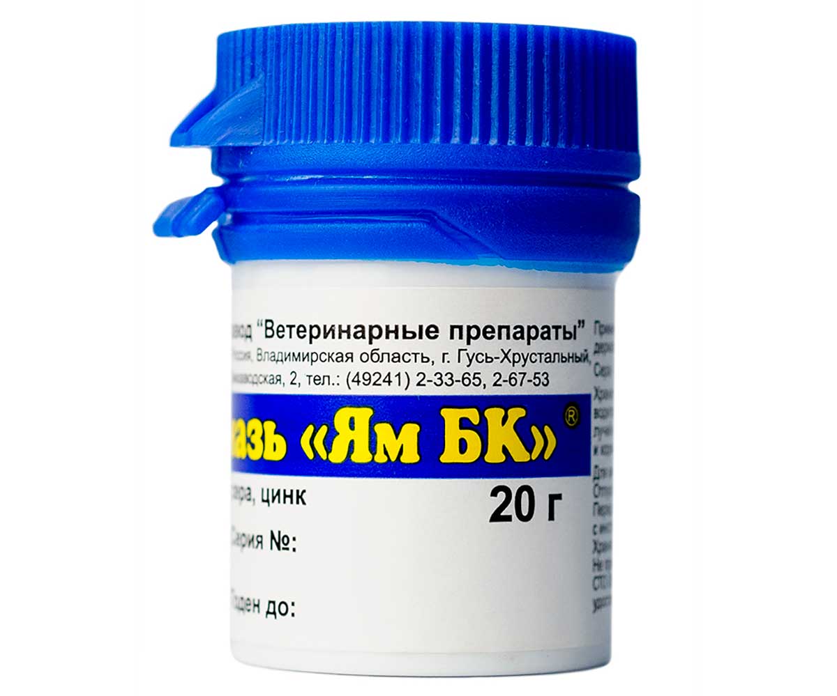 Ям БК Мазь Для Лечения Лишая и Других Заболеваний Кожи 20г АВЗ