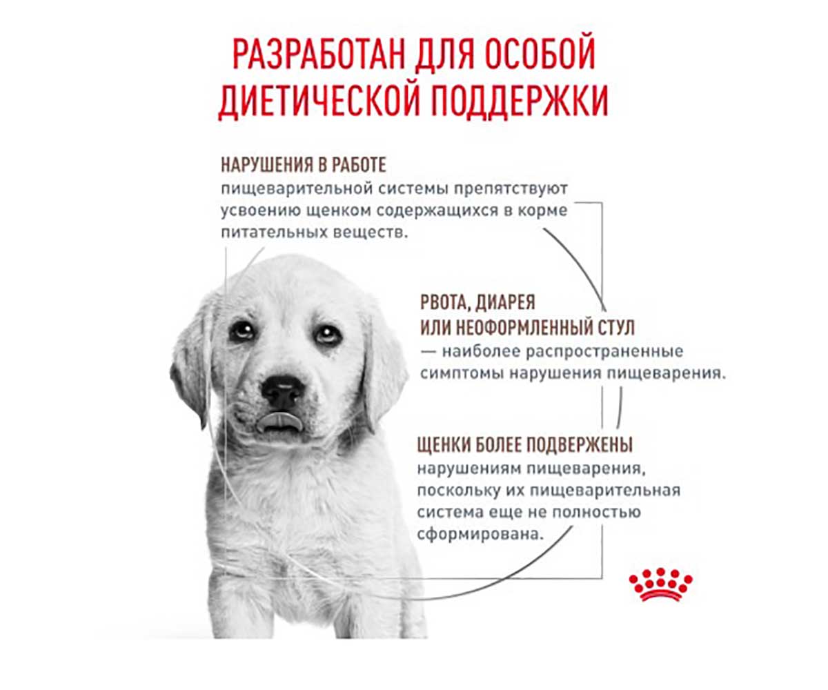 Лечебный Сухой Корм Royal Canin (Роял Канин) Для Щенков При Нарушениях Пищеварения Veterinary Diet Canine Gastro Intestinal Junior GIJ29 1кг