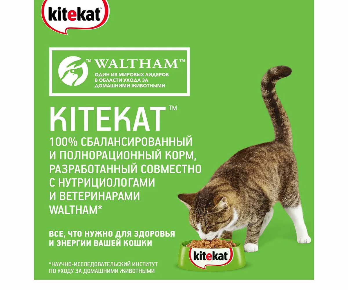 Влажный Корм Kitekat (Китикэт) Для Кошек Сочная Говядина в Желе 85г (1*24)