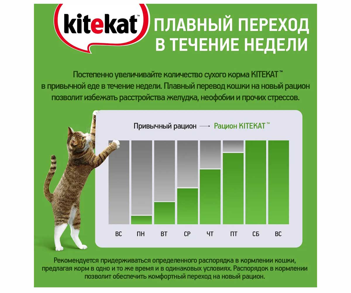 Влажный Корм Kitekat (Китикэт) Для Кошек Сочная Говядина в Желе 85г (1*24)