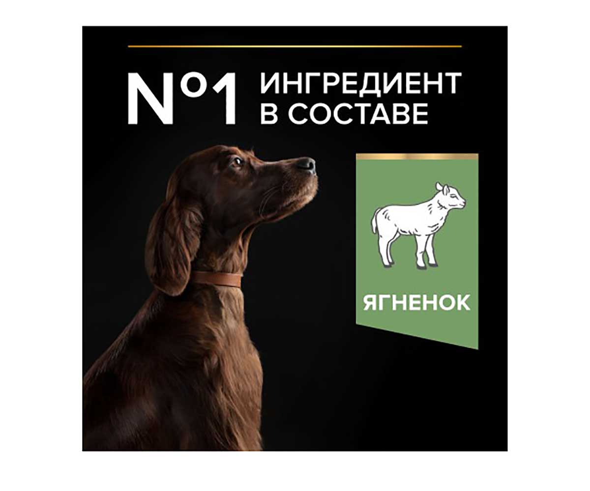 Сухой Корм ProPlan (Проплан) Для Собак Крупных Пород с Атлетическим Телосложением с Чувствительным Пищеварением Ягненок и Рис Adult Dog Optidigest Large Athletic Sensitive Digestion 3кг (1*4)