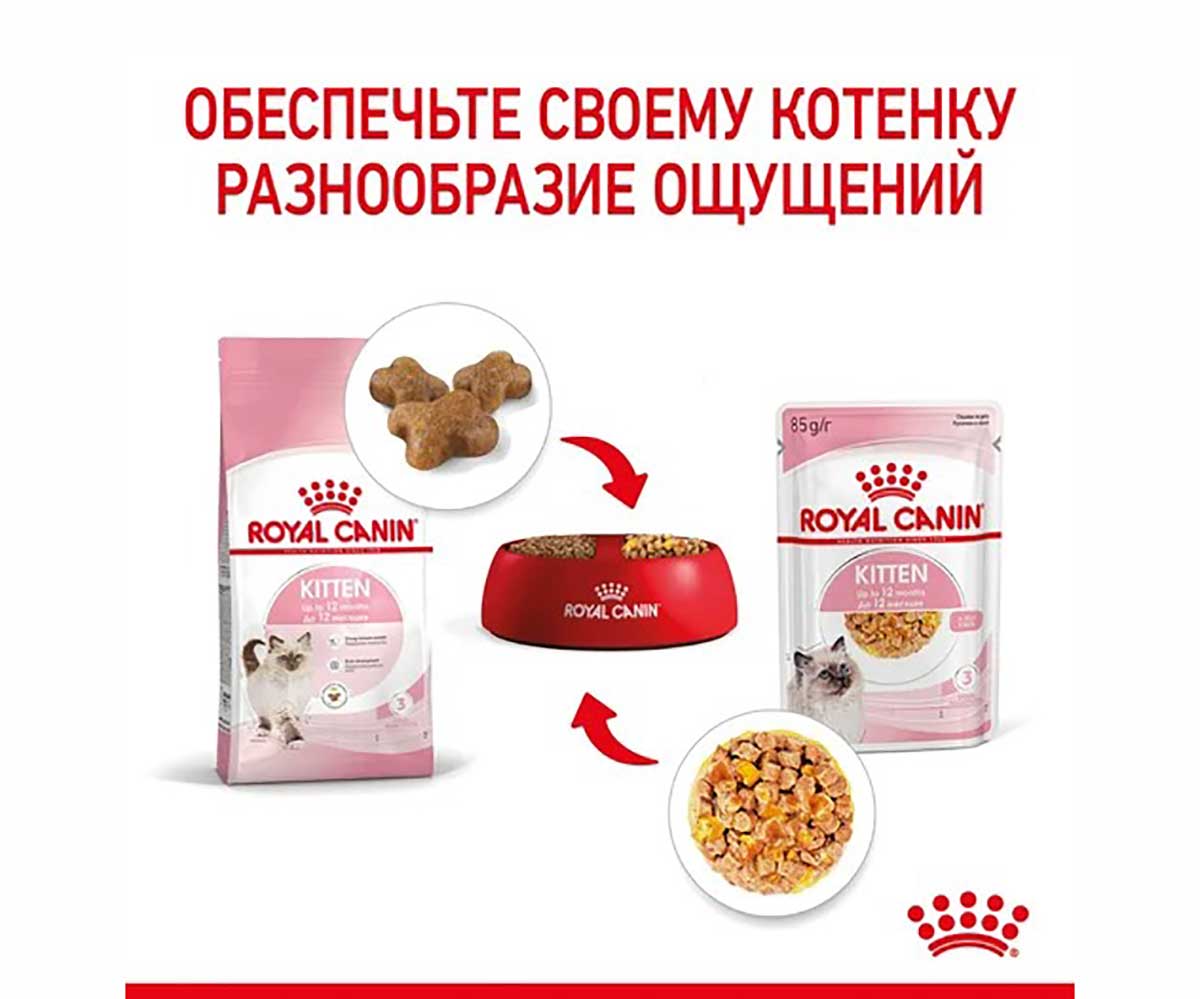 Влажный Корм Royal Canin (Роял Канин) Для Котят Аппетитные Кусочки в Желе Feline Health Nutrition Kitten Jelly 85г (1*12)