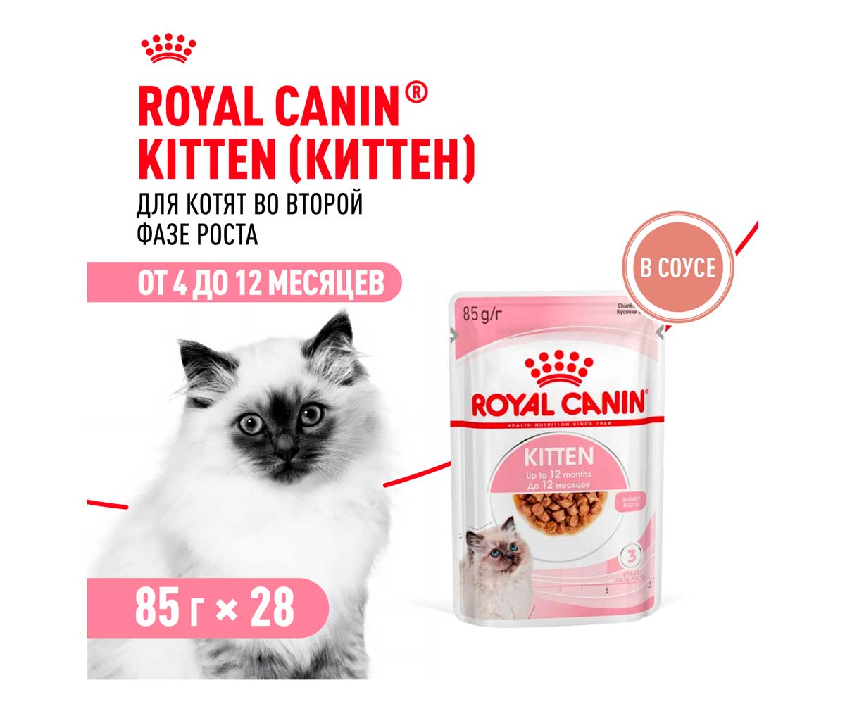 Влажный Корм Royal Canin (Роял Канин) Для Котят Аппетитные Кусочки в Соусе Feline Health Nutrition Kitten Gravy 85г