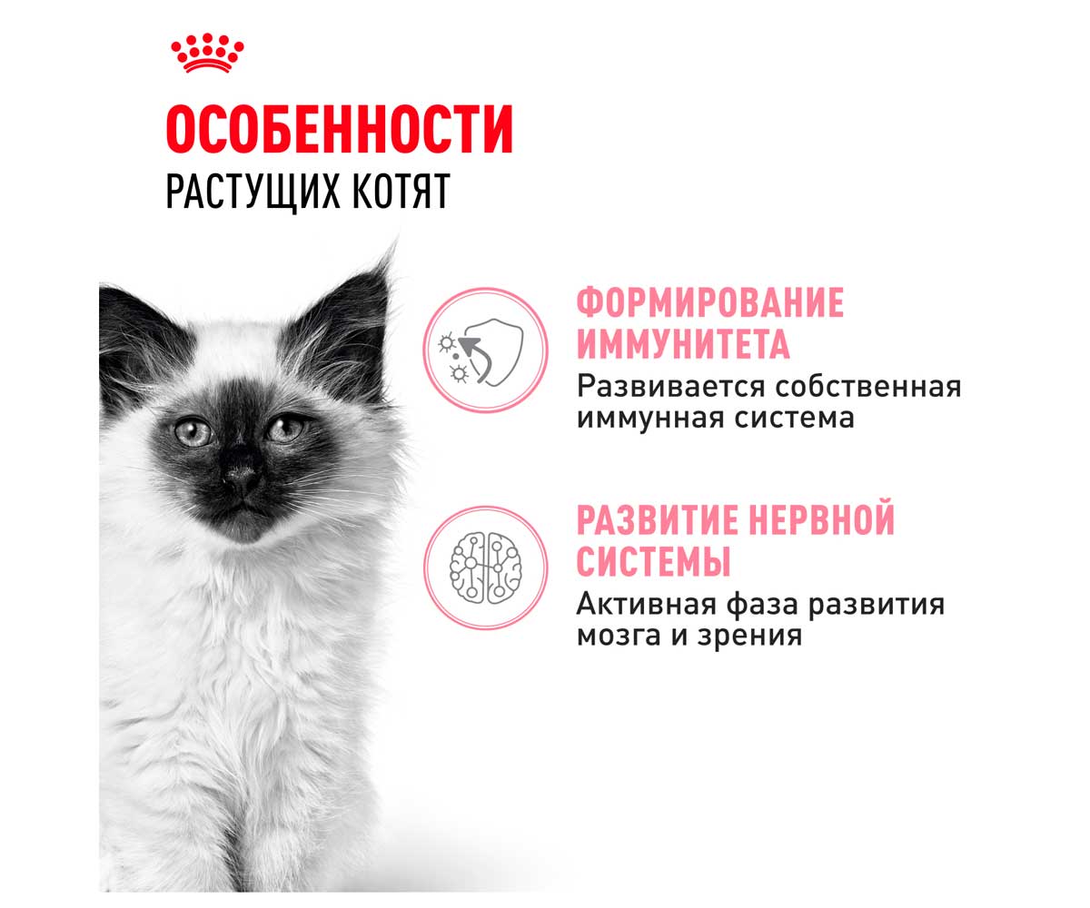 Влажный Корм Royal Canin (Роял Канин) Для Котят Аппетитные Кусочки в Соусе Feline Health Nutrition Kitten Gravy 85г