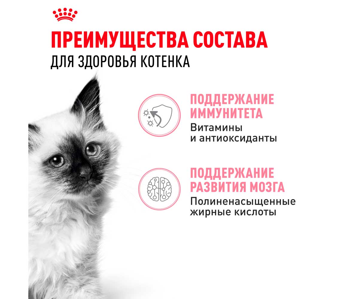 Влажный Корм Royal Canin (Роял Канин) Для Котят Аппетитные Кусочки в Соусе Feline Health Nutrition Kitten Gravy 85г