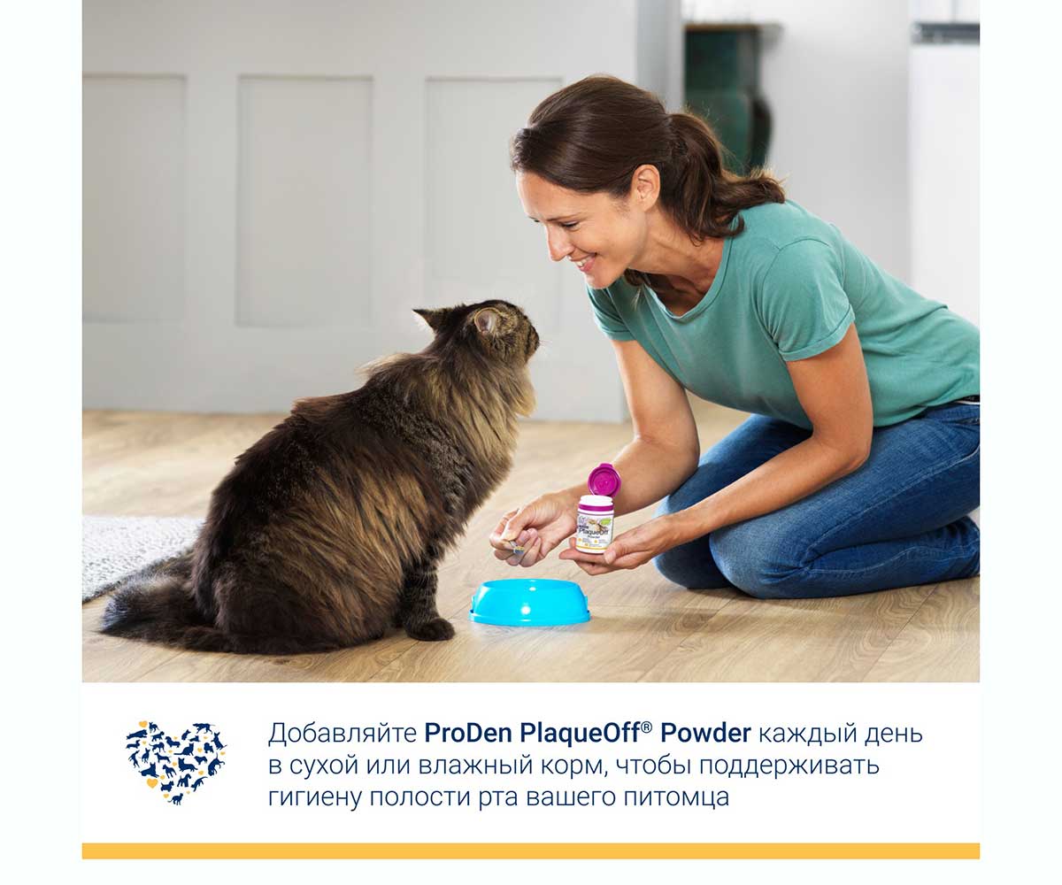 Proden Plaqueoff Средство Для Профилактики Зубного Камня у Кошек и Собак 40г