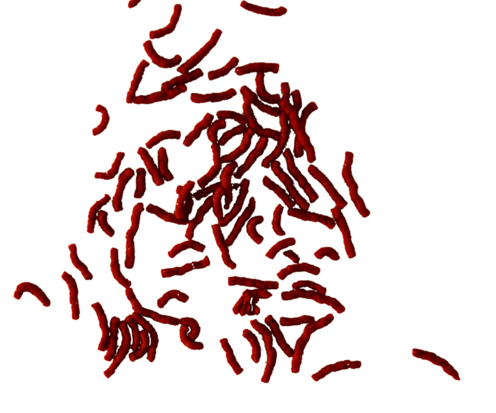 Корм Для Рыб Tetra (Тетра) Палочки Betta Larva Sticks Для Петушков и Лабиринтовых Рыб 100мл 33г 259386