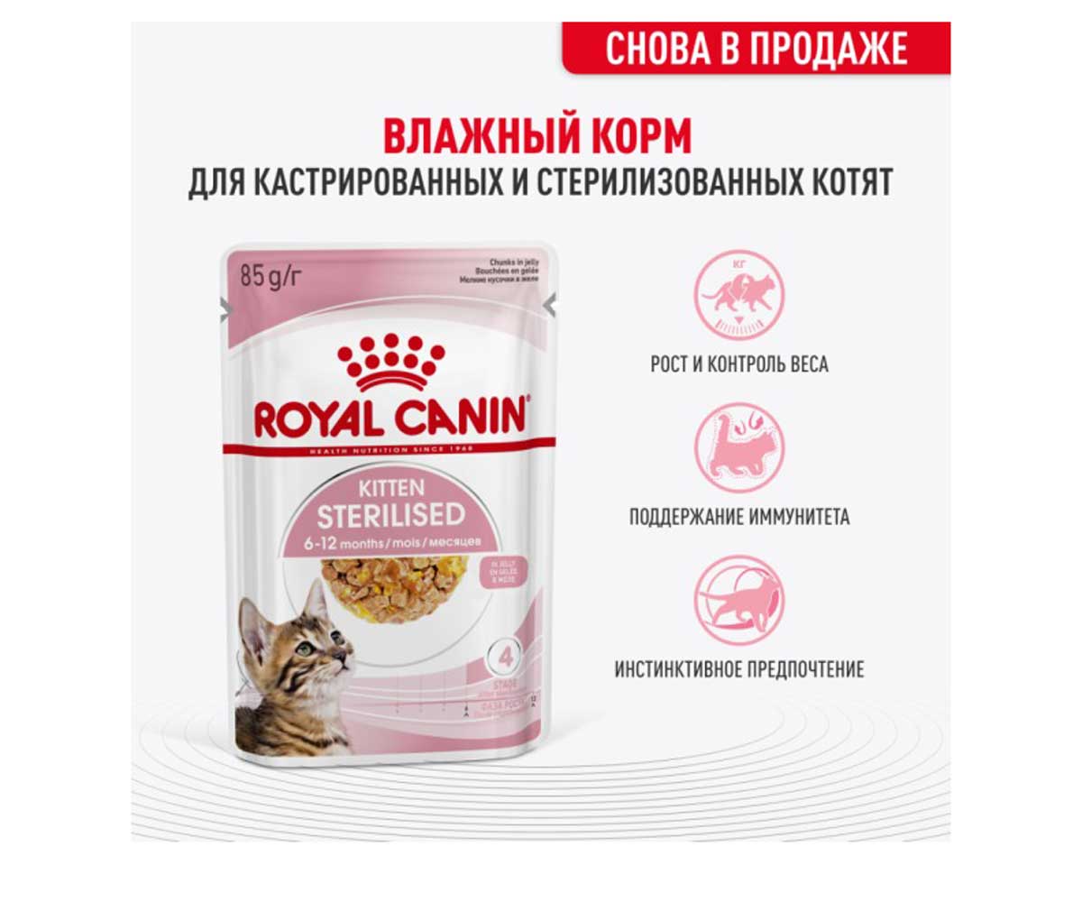 Влажный Корм Royal Canin (Роял Канин) Для Кастрированных и Стерилизованных Котят в Желе Feline Health Nutrition Kitten Sterilised Jelly 85г