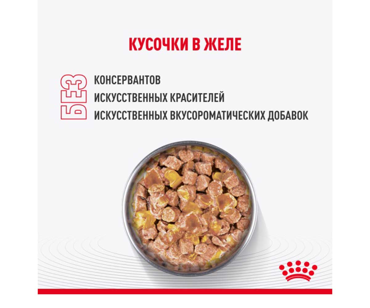 Влажный Корм Royal Canin (Роял Канин) Для Кастрированных и Стерилизованных Котят в Желе Feline Health Nutrition Kitten Sterilised Jelly 85г