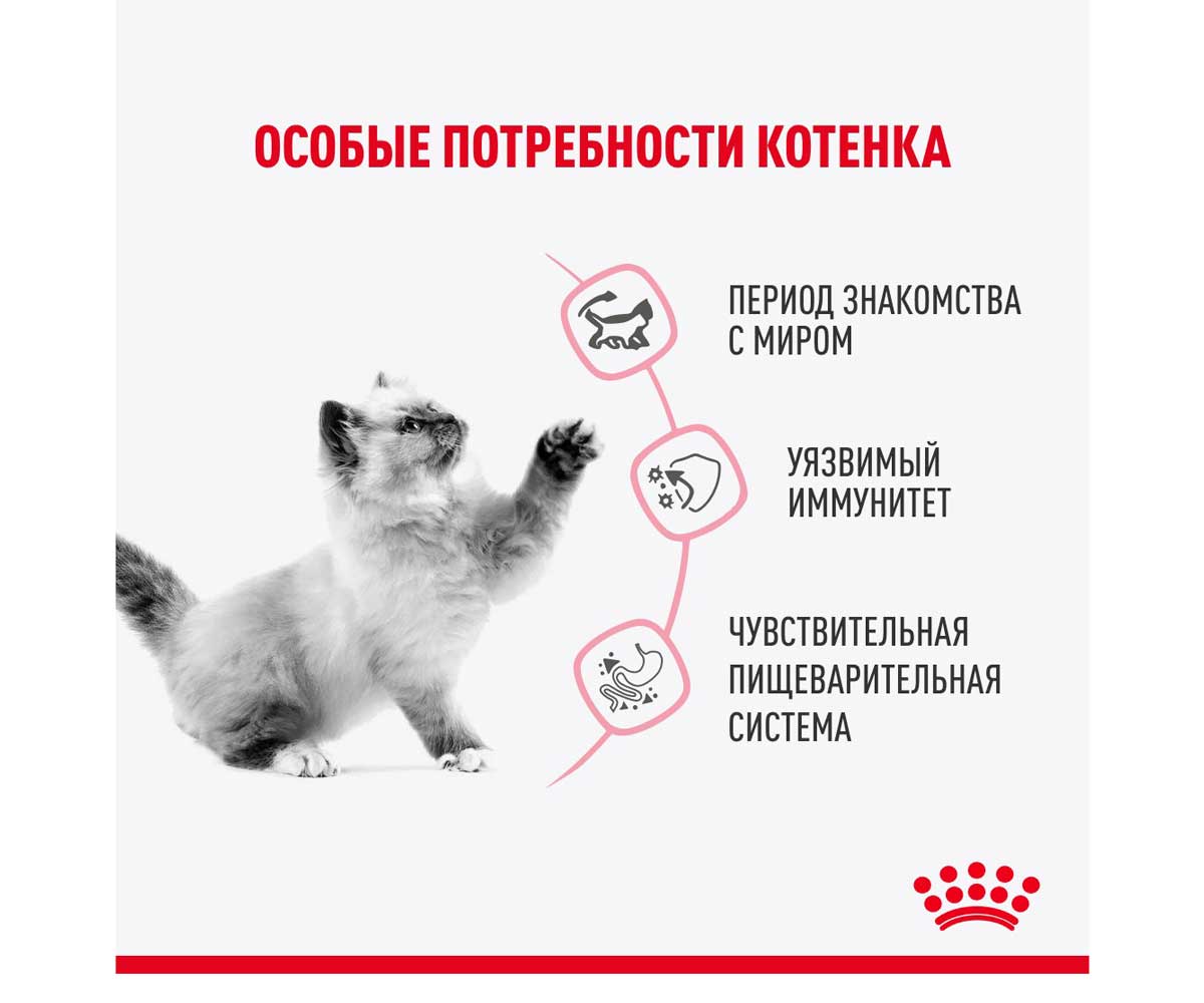 Влажный Корм Royal Canin (Роял Канин) Для Кастрированных и Стерилизованных Котят в Соусе Feline Health Nutrition Kitten Sterilised Gravy 85г