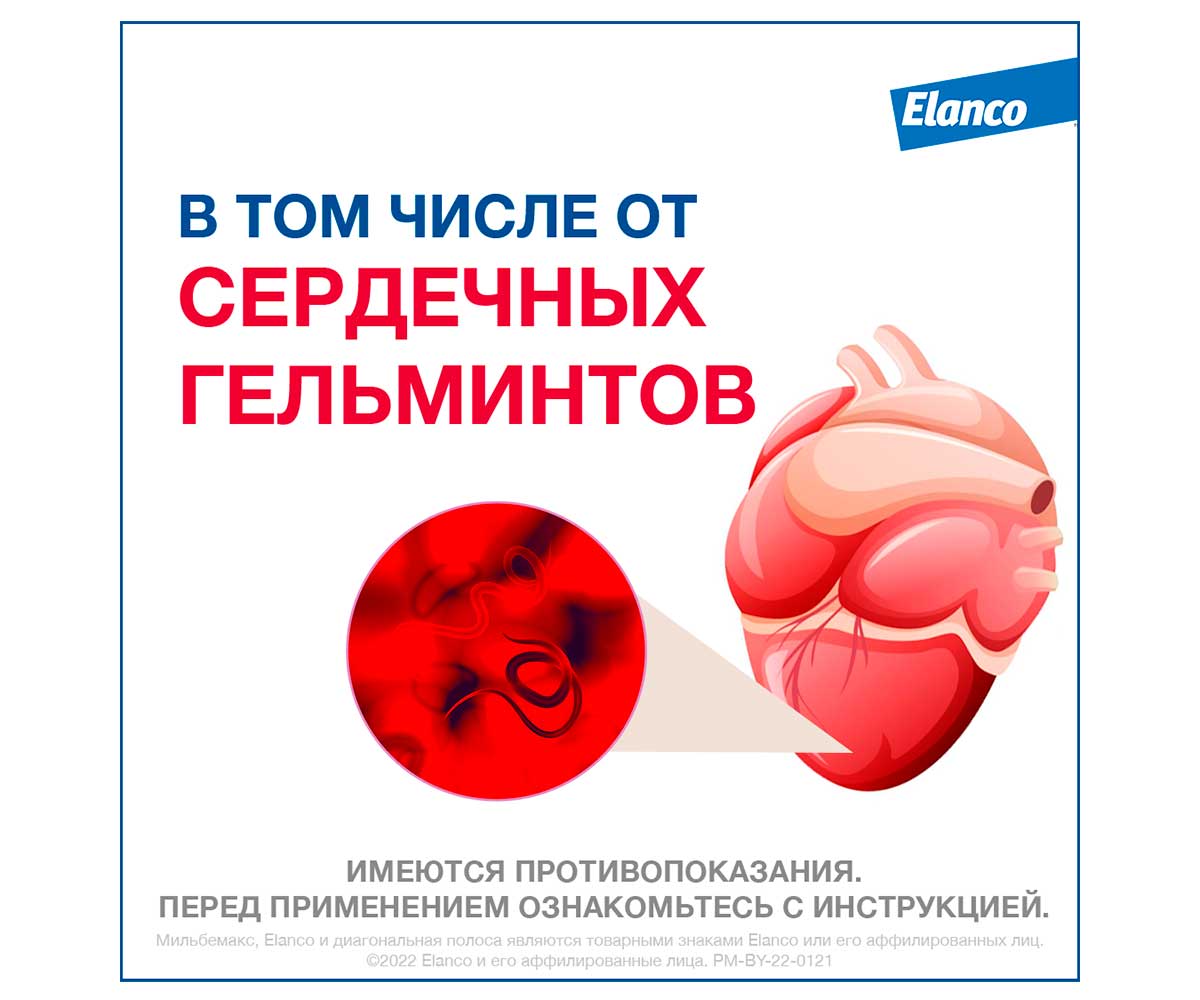 Milbemax (Мильбемакс) Антигельминтик Таблетки Для Щенков и Собак Мелких Пород 2таб Milbemax Elanco